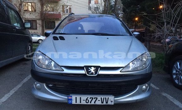 Buy Used Peugeot 206 Silver Car in Tbilisi in Tbilisi