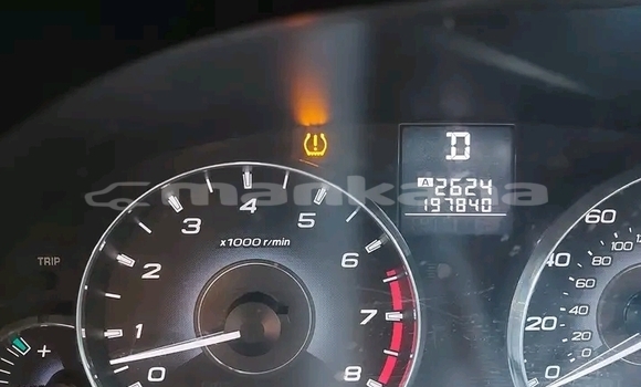 Buy Used Subaru Outback Red Car in Bihvinta in Abhasia