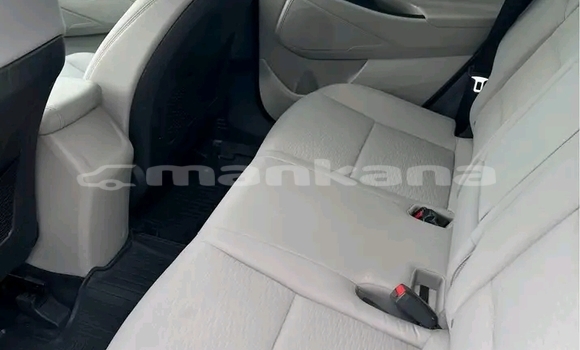 Buy Used Mercedes-Benz AMG GLC Other Car in Bihvinta in Abhasia