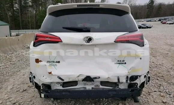 Buy Used Toyota RAV4 White Car in Dioknisi in Ajaria Buy Used Toyota RAV4 White Car in Dioknisi in Ajaria