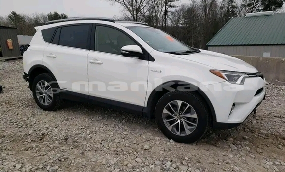 Buy Used Toyota RAV4 White Car in Dioknisi in Ajaria Buy Used Toyota RAV4 White Car in Dioknisi in Ajaria