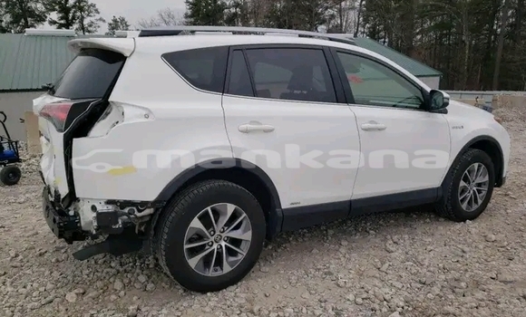 Buy Used Toyota RAV4 White Car in Dioknisi in Ajaria Buy Used Toyota RAV4 White Car in Dioknisi in Ajaria