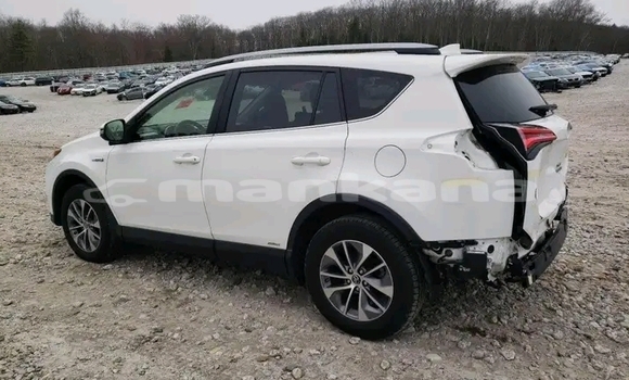 Buy Used Toyota RAV4 White Car in Dioknisi in Ajaria Buy Used Toyota RAV4 White Car in Dioknisi in Ajaria