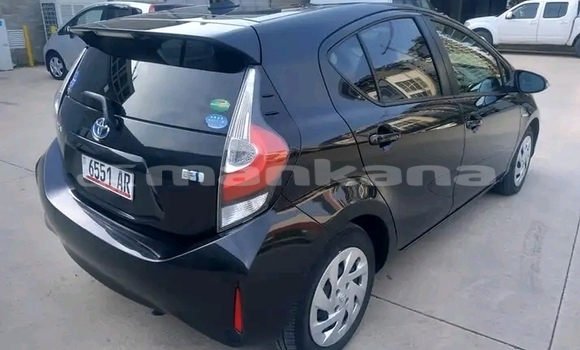 Buy Used Toyota Premio Black Car in Cnori in Kaheti Buy Used Toyota Premio Black Car in Cnori in Kaheti