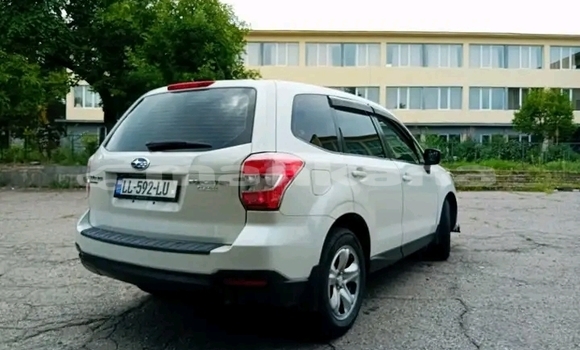 Buy Used Subaru Forester White Car in Bihvinta in Abhasia
