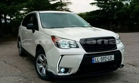 Buy Used Subaru Forester White Car in Bihvinta in Abhasia Buy Used Subaru Forester White Car in Bihvinta in Abhasia