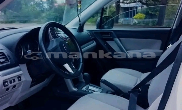 Buy Used Subaru Forester White Car in Bihvinta in Abhasia Buy Used Subaru Forester White Car in Bihvinta in Abhasia