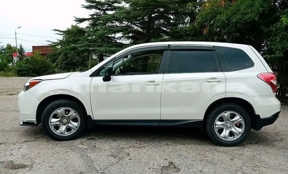 Buy Used Subaru Forester White Car in Bihvinta in Abhasia Buy Used Subaru Forester White Car in Bihvinta in Abhasia