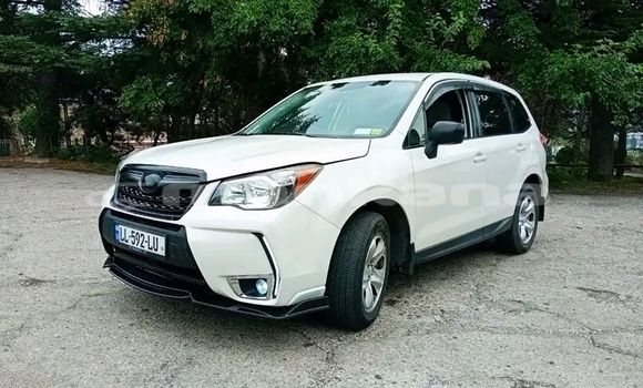 Buy Used Subaru Forester White Car in Bihvinta in Abhasia Buy Used Subaru Forester White Car in Bihvinta in Abhasia