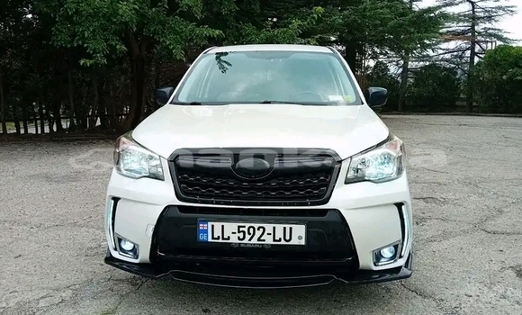 Buy Used Subaru Forester White Car in Bihvinta in Abhasia Buy Used Subaru Forester White Car in Bihvinta in Abhasia