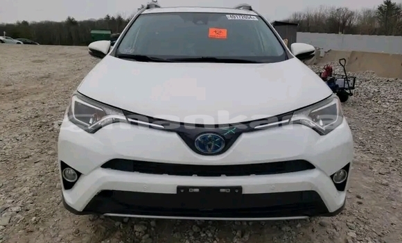 Buy Used Toyota RAV4 White Car in Batumi in Ajaria Buy Used Toyota RAV4 White Car in Batumi in Ajaria