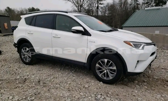 Buy Used Toyota RAV4 White Car in Batumi in Ajaria Buy Used Toyota RAV4 White Car in Batumi in Ajaria