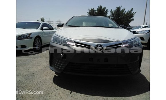 Buy Import Toyota Corolla Other Car in Import - Dubai in Abhasia Buy Import Toyota Corolla Other Car in Import - Dubai in Abhasia