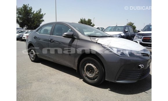 Buy Import Toyota Corolla Other Car in Import - Dubai in Abhasia Buy Import Toyota Corolla Other Car in Import - Dubai in Abhasia