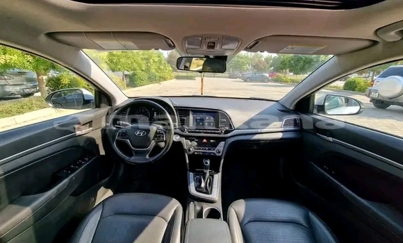 Buy Used Hyundai Elantra Other Car in Bihvinta in Abhasia Buy Used Hyundai Elantra Other Car in Bihvinta in Abhasia