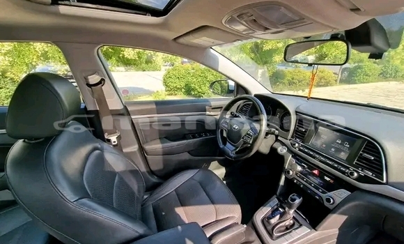 Buy Used Hyundai Elantra Other Car in Bihvinta in Abhasia Buy Used Hyundai Elantra Other Car in Bihvinta in Abhasia