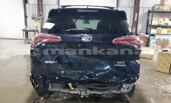 Buy Used Toyota RAV4 Black Car in Bihvinta in Abhasia Buy Used Toyota RAV4 Black Car in Bihvinta in Abhasia