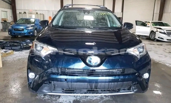 Buy Used Toyota RAV4 Black Car in Bihvinta in Abhasia Buy Used Toyota RAV4 Black Car in Bihvinta in Abhasia