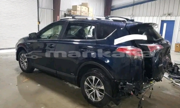 Buy Used Toyota RAV4 Black Car in Bihvinta in Abhasia Buy Used Toyota RAV4 Black Car in Bihvinta in Abhasia