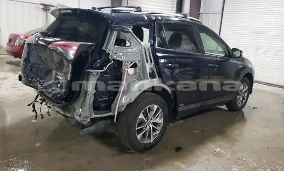 Buy Used Toyota RAV4 Black Car in Bihvinta in Abhasia Buy Used Toyota RAV4 Black Car in Bihvinta in Abhasia