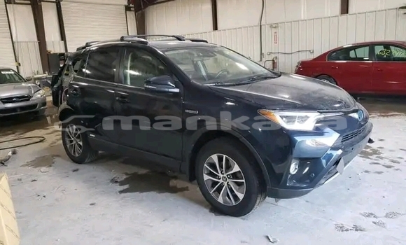 Buy Used Toyota RAV4 Black Car in Bihvinta in Abhasia Buy Used Toyota RAV4 Black Car in Bihvinta in Abhasia