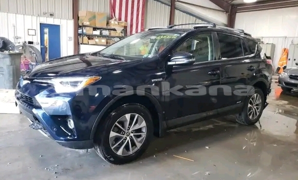 Buy Used Toyota RAV4 Black Car in Bihvinta in Abhasia Buy Used Toyota RAV4 Black Car in Bihvinta in Abhasia
