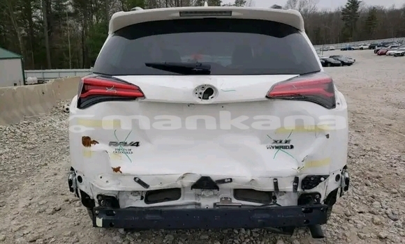 Buy Used Toyota RAV4 White Car in Bihvinta in Abhasia Buy Used Toyota RAV4 White Car in Bihvinta in Abhasia