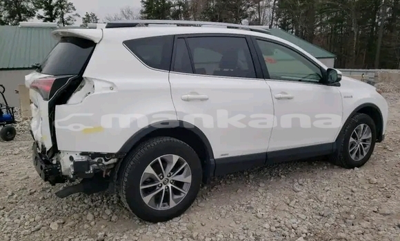 Buy Used Toyota RAV4 White Car in Bihvinta in Abhasia Buy Used Toyota RAV4 White Car in Bihvinta in Abhasia
