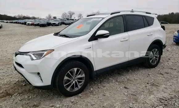 Buy Used Toyota RAV4 White Car in Bihvinta in Abhasia Buy Used Toyota RAV4 White Car in Bihvinta in Abhasia