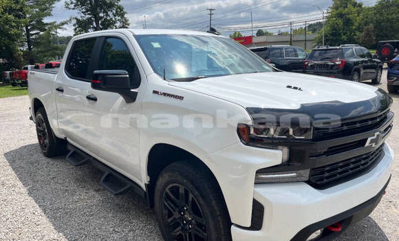 Buy Used Chevrolet Silverado White Car in Rustavi in Tbilisi Buy Used Chevrolet Silverado White Car in Rustavi in Tbilisi