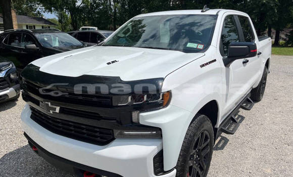 Buy Used Chevrolet Silverado White Car in Rustavi in Tbilisi Buy Used Chevrolet Silverado White Car in Rustavi in Tbilisi