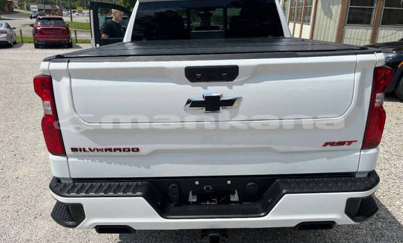 Buy Used Chevrolet Silverado White Car in Rustavi in Tbilisi Buy Used Chevrolet Silverado White Car in Rustavi in Tbilisi