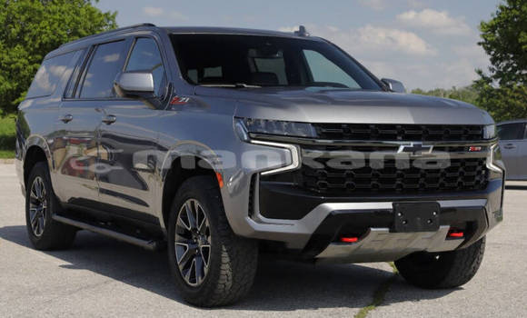 Buy Used Chevrolet Suburban Other Car in Tbilisi in Tbilisi