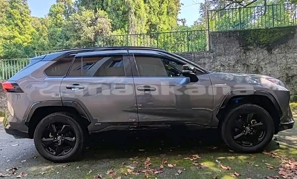 Buy Used Toyota RAV4 Black Car in Gudauta in Abhasia Buy Used Toyota RAV4 Black Car in Gudauta in Abhasia
