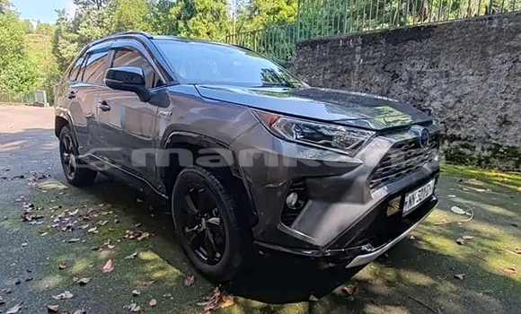 Buy Used Toyota RAV4 Black Car in Gudauta in Abhasia Buy Used Toyota RAV4 Black Car in Gudauta in Abhasia