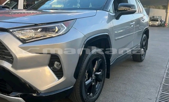Buy Used Toyota RAV4 Other Car in Dusheti in Mcheta-Mtianeti Buy Used Toyota RAV4 Other Car in Dusheti in Mcheta-Mtianeti