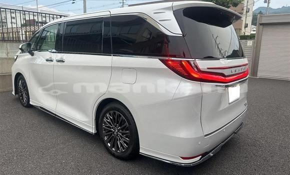 Buy Used Lexus LC White Car in Tbilisi in Tbilisi Buy Used Lexus LC White Car in Tbilisi in Tbilisi