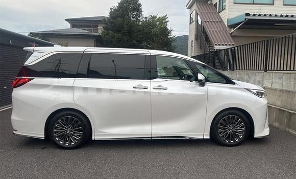 Buy Used Lexus LC White Car in Tbilisi in Tbilisi Buy Used Lexus LC White Car in Tbilisi in Tbilisi