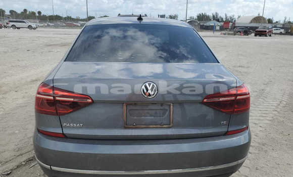 Buy Used Volkswagen Passat Other Car in Bagdadi in Imereti Buy Used Volkswagen Passat Other Car in Bagdadi in Imereti
