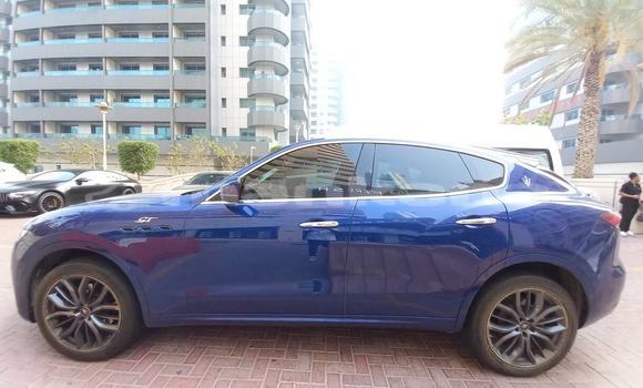 Buy Used Maserati Levante Blue Car in Tbilisi in Tbilisi Buy Used Maserati Levante Blue Car in Tbilisi in Tbilisi