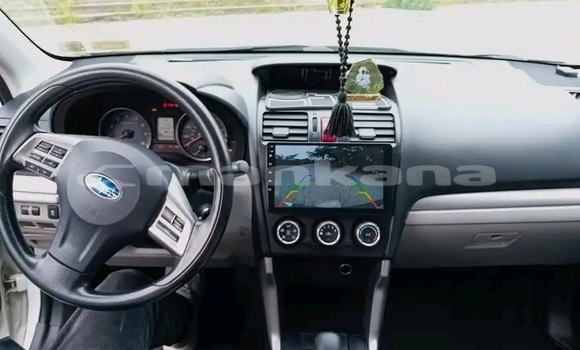 Buy Used Toyota Fortuner White Car in Bihvinta in Abhasia Buy Used Toyota Fortuner White Car in Bihvinta in Abhasia