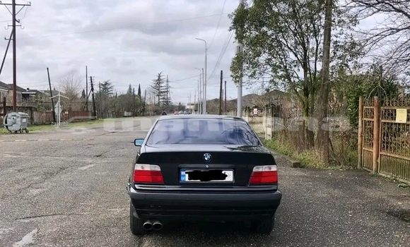 Buy Used BMW 315 Black Car in Gali in Abhasia Buy Used BMW 315 Black Car in Gali in Abhasia