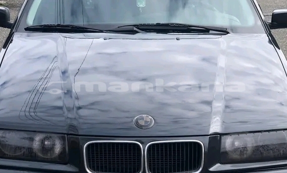 Buy Used BMW 315 Black Car in Gali in Abhasia Buy Used BMW 315 Black Car in Gali in Abhasia
