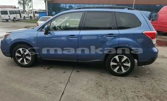 Buy Used Subaru Forester Other Car in Gali in Abhasia Buy Used Subaru Forester Other Car in Gali in Abhasia