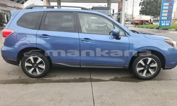 Buy Used Subaru Forester Other Car in Gali in Abhasia Buy Used Subaru Forester Other Car in Gali in Abhasia