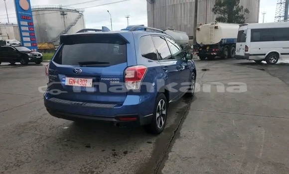 Buy Used Subaru Forester Other Car in Gali in Abhasia Buy Used Subaru Forester Other Car in Gali in Abhasia