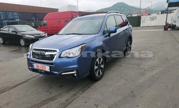 Buy Used Subaru Forester Other Car in Gali in Abhasia Buy Used Subaru Forester Other Car in Gali in Abhasia