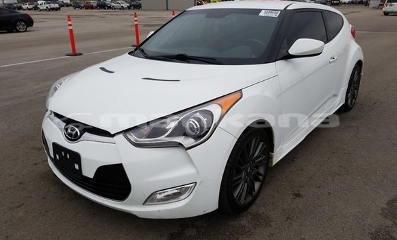 Buy Used Hyundai Veloster White Car in Tbilisi in Tbilisi