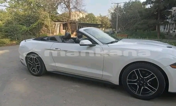 Buy Used BMW X4 White Car in Gudauta in Abhasia Buy Used BMW X4 White Car in Gudauta in Abhasia