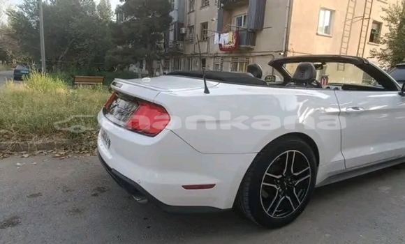 Buy Used BMW X4 White Car in Gudauta in Abhasia Buy Used BMW X4 White Car in Gudauta in Abhasia